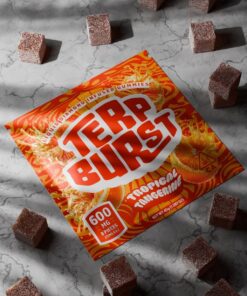 terp burst tropical tangerine